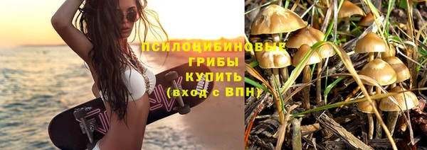 ECSTASY Алексеевка