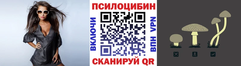 купить наркоту гидра рабочий сайт Псилоцибиновые грибы прущие грибы Козловка